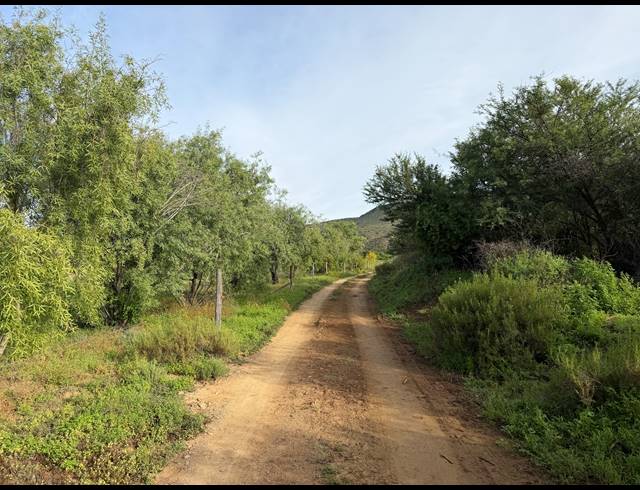 24.40HA FARM FOR SALE IN BARRYDALE